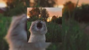 плейлист с летним вайбом / летний плейлист speed up