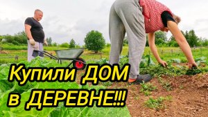 КУПИЛИ ДОМ В ДЕРЕВНЕ | Деревенские будни | Семья в селе | Дом в деревне
