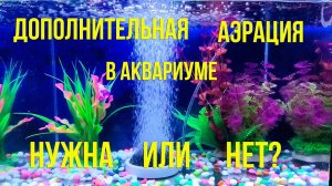 Дополнительная аэрация в аквариуме. Необходимость или вред?
