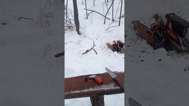 Лыжи, костер, собачки