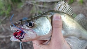 Судак в половодье на джиг! Ловля на стример.