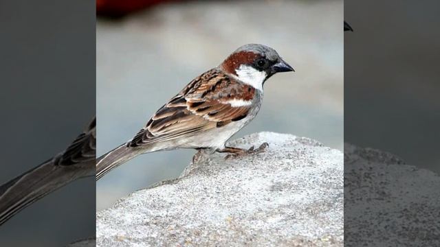 Это интересно-10