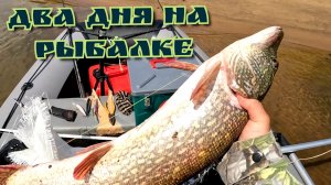 РЫБАЛКА НА ОКЕ В Июне,поймал трофей этого сезона.