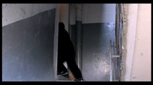 Kargin Haghordum sketch 116