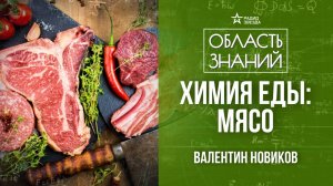 Что нужно знать, чтобы приготовить сочный и вкусный стейк_ Лекция химика Валентина Новикова