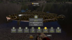 ТРОФЕЙ НАЛИМ!!! РЕКА БЕЛАЯ - РУССКАЯ РЫБАЛКА 4