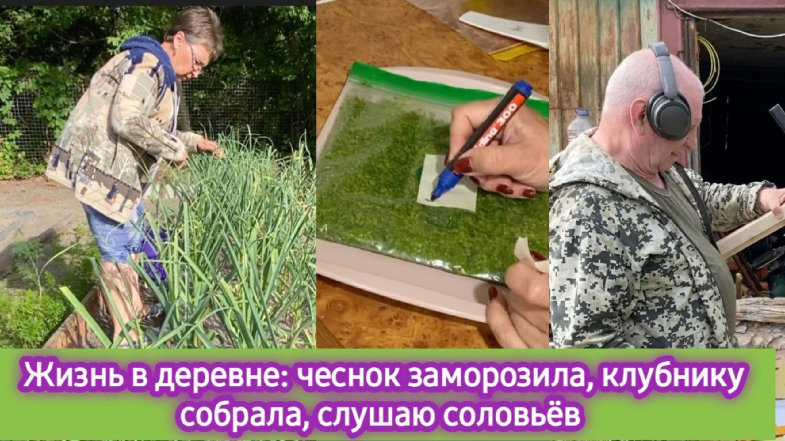 Жизнь в деревне: чеснок заморозила, клубнику собрала. слушаю соловьёв смотреть онлайн