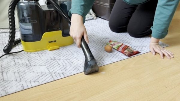 Моющий пылесос Ramicom