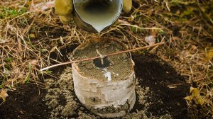 Сделал классную свечу из подручных средств в лесу!