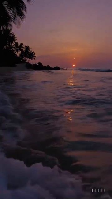 Лилия Любимова — Песня “Крылья ночи” | Wings of the Night (2025) смотреть онлайн