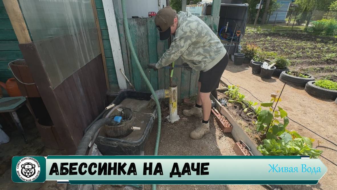 ❤️🔥🔥 Абиссинская скважина Ярославль 💧// Ростовский р-н СНТ Кристалл #скважинавярославле смотреть онлайн
