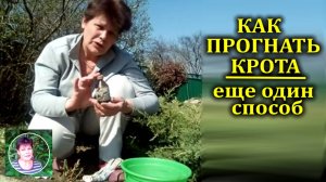 Еще один  способ прогнать кротов с участка