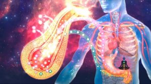 Плейлист: Сахарный диабет 2 го типа⚠️ Чистая матрица Гаряева П П