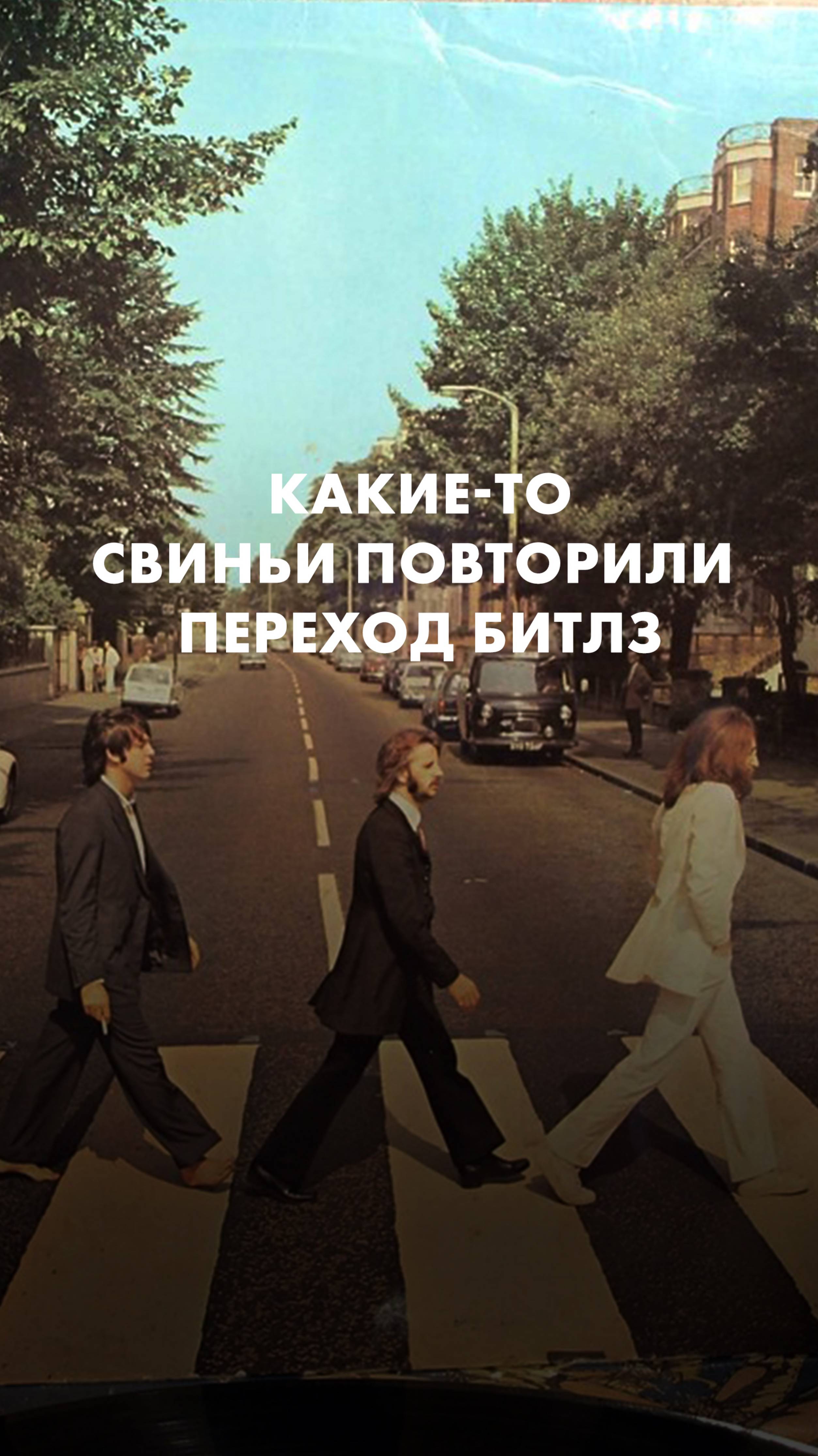 Какие-то свиньи в Ревде повторили переход Битлз по Эбби-роуд смотреть онлайн