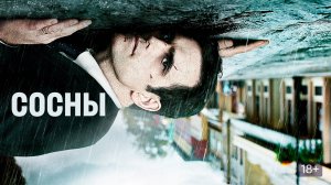 Сосны (краткий пересказ сериала 1 часть. КиноFOX)