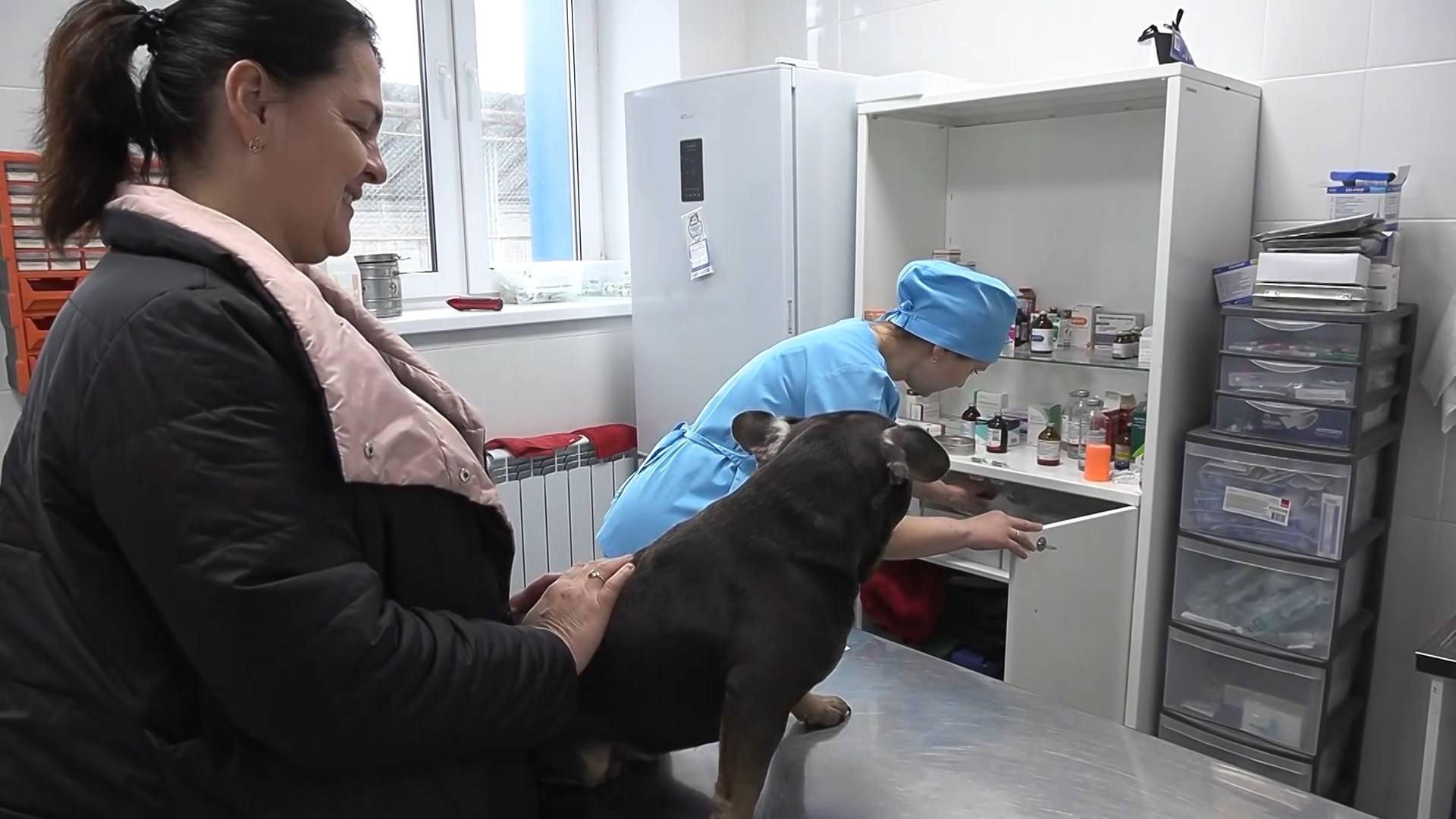 Обязательное чипирование смотреть онлайн