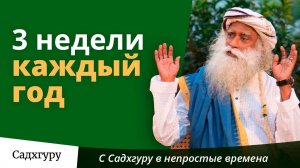 Человечество должно делать трехнедельный перерыв каждый год