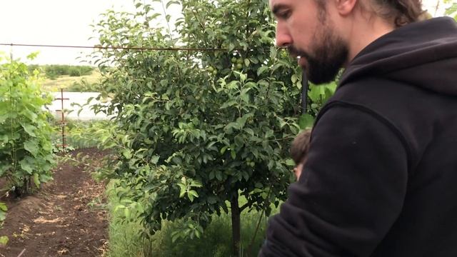 Солнечное затмение / ребрышки на мангале / Влог смотреть онлайн