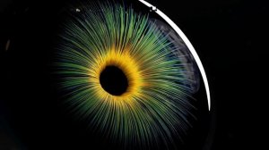 2025 Матрица Гаряева для Восстановления Зрения ☀️ Пётр Петрович ГАРЯЕВ: матрица для ЗРЕНИЯ