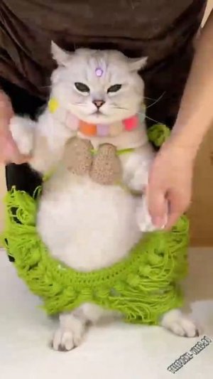 Восточный танец