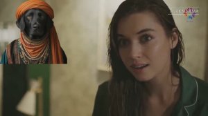 Зимородок 4 сезон Анонс