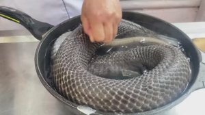 ПРИГОТОВЛЕНИЯ ЗМЕИ