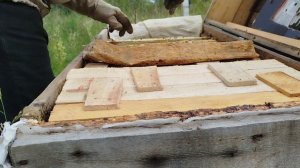 Объединение семей пчëл, результат плюс гемогенат.