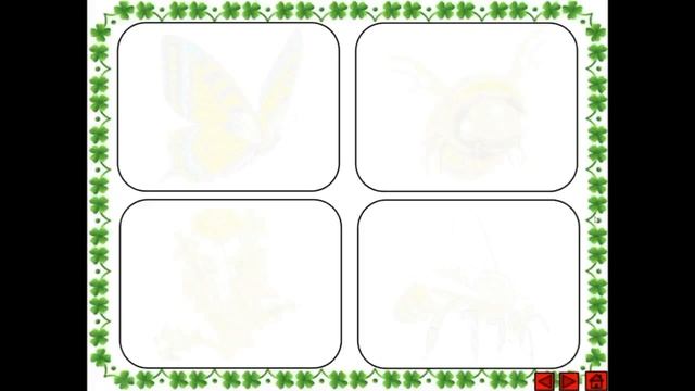 Занятие по теме: "Насекомые"