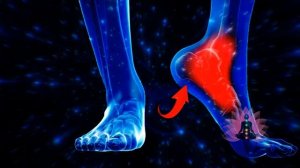 МАТРИЦЫ-ГАРЯЕВА.РФ АРХИВ: Архив Гаряев-Матрицы.рф Матрица №1 Пяточная шпора