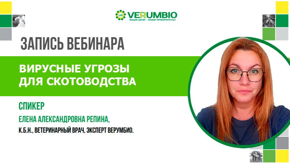 Запись вебинара. Шмаленберг, Акабане и Блютанг: эпизоотология и профилактика.