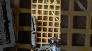 разъемы эбу Опель