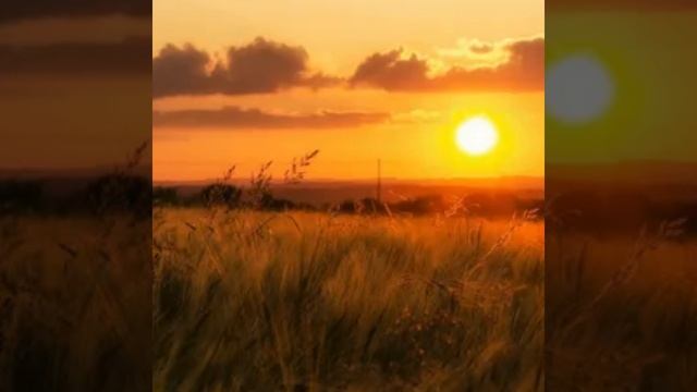 Белый  Орёл (как упоительны в России вечера)