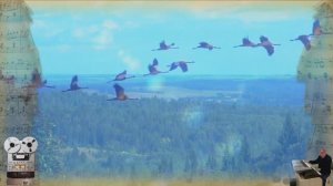 «Синее небо» 
Татьяна Куртукова