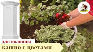 Цветы в кашпо.