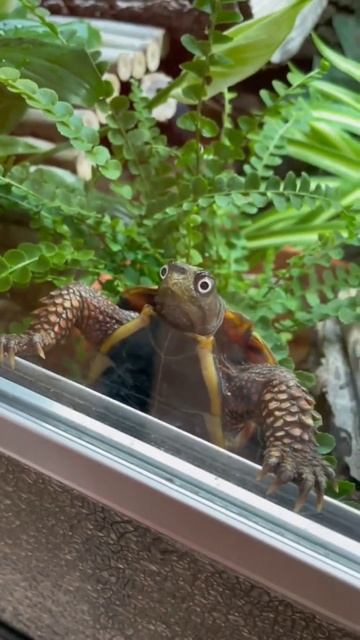 Людмила Биркле || Комфортный Бизнес