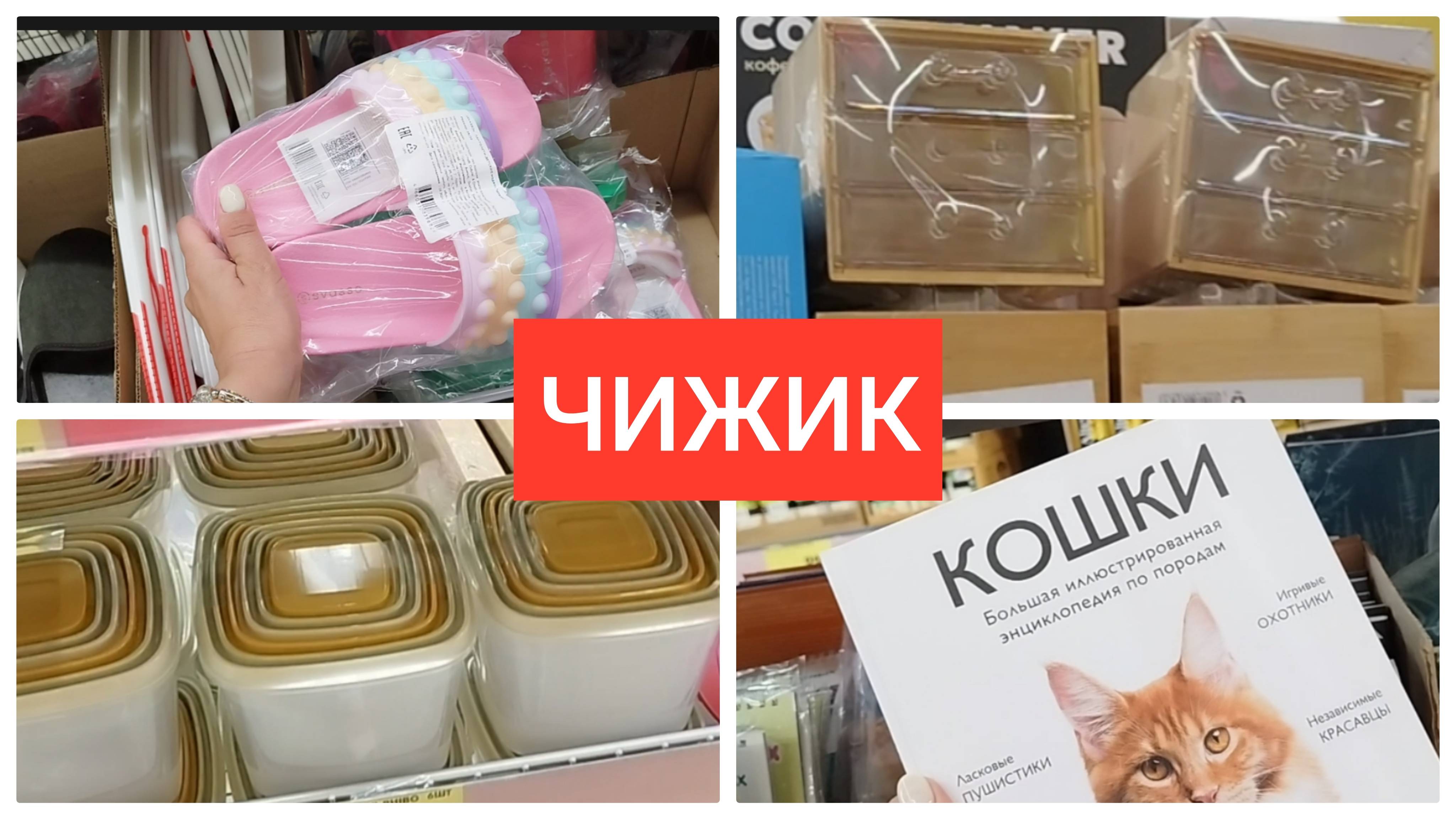 Чижик