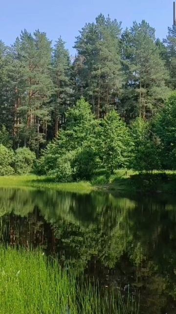 (52) Библия Евангелие от Иоанна глава 12 стих 23-34 смотреть онлайн