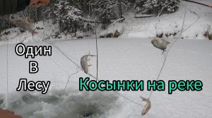 РЫБАЛКА НА КОСЫНКИ.  ПОСТАВИЛ КРУПНУЮ ЯЧЕЮ.