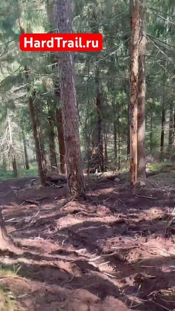 Уберите детей от экранов!!!! #эндуро #мото #мотоцикл #hengjian #regulmoto #motoland #racer смотреть онлайн