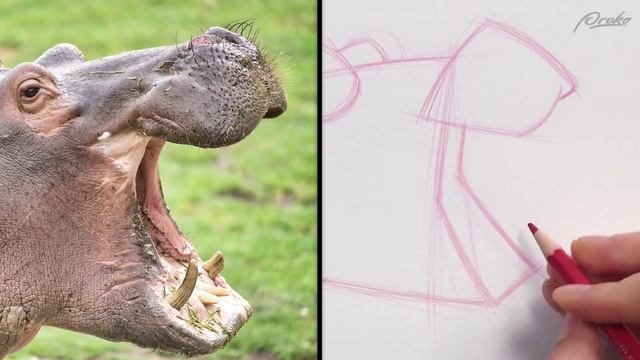 47. demo-simple-animal-portraits-level-1 смотреть онлайн