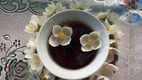 ЦЕЛЕБНЫЙ ЧАЙ из садового жасмина (чубушника). Жасмин или чубушник? смотреть онлайн