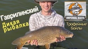 Гаврилинский. Дикая рыбалка. Карпфишинг
