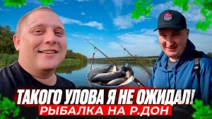 ТАКОГО УЛОВА Я НЕ ОЖИДАЛ! РЫБАЛКА НА РЕКЕ ДОН С ПАЛАТКАМИ! НАЛОВИЛИ МНОГО ПОДЛЕЩИКОВ И КАРАСЕЙ!