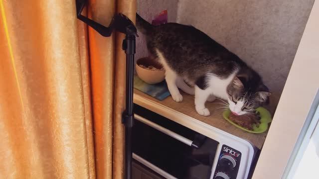 Выходной 🥳 занимаемся домашними делами 😊 пришли платёжки за квартиру 😳 смотреть онлайн