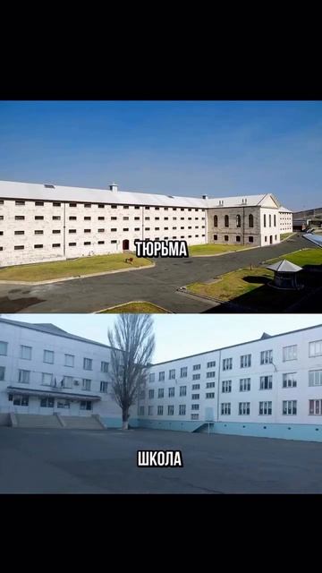 Тюрьма и школа - все чему-то учат, да исправляют смотреть онлайн