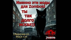 Сборочка модов для Project Zomboid которую Вам захочется попробовать) by Black Cat build 42