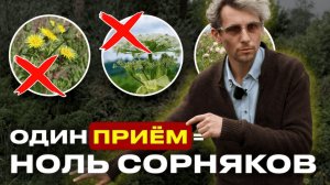 Участок без сорняков: эти ВЕЧНОЗЕЛЁНЫЕ растения решают всё!