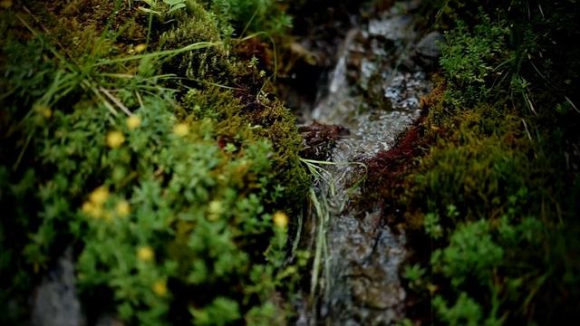 Soothing Video Compilation | Relaxing Video | Music To Clear The Mind | Music For Love | Hygge