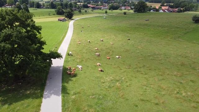 Relaxing Ambient Nature Atmosphere | Alps | Swiss | Ambient Healing Music For Relaxation