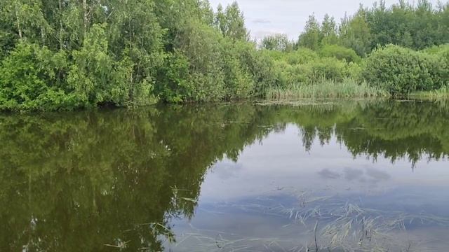 Рыбалка для души (от подписчика)